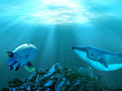 巴斯夫、SABIC、埃萬特多舉措助力海洋塑料回收再利用