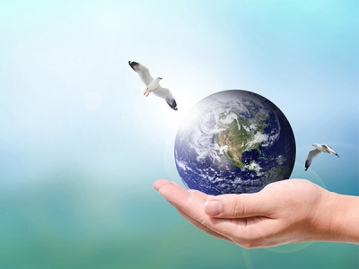 塑料污染怎么進(jìn)行改善，如何降低塑料污染？